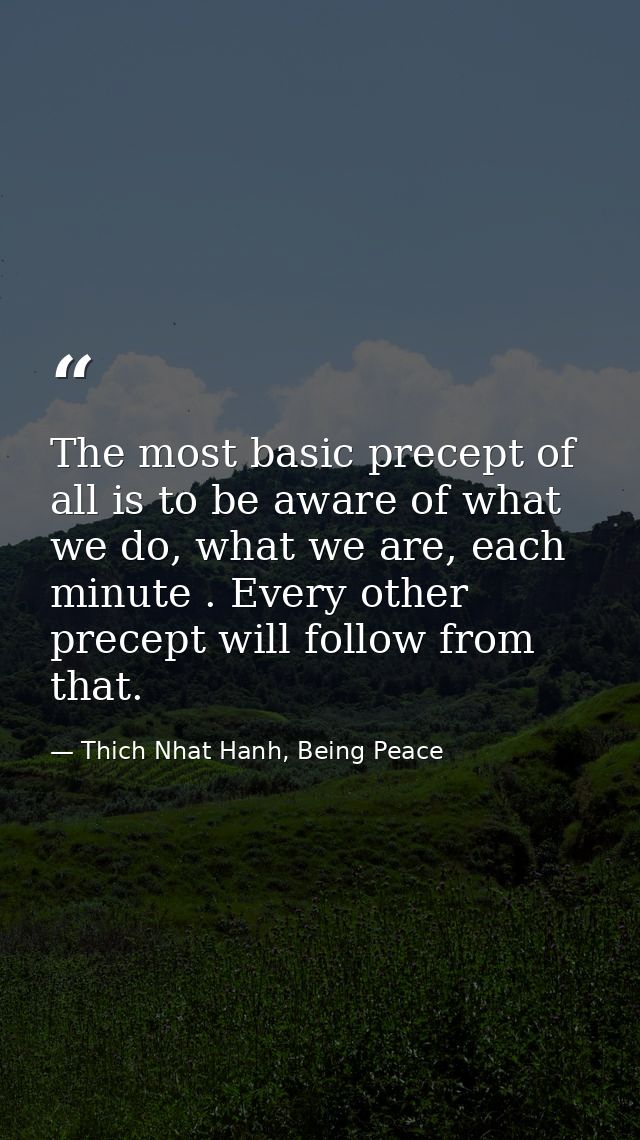 The most basic precept of all is to be aware of what we do, what we are, each minute . Every other precept will follow f — Thich Nhat Hanh, Being Peace