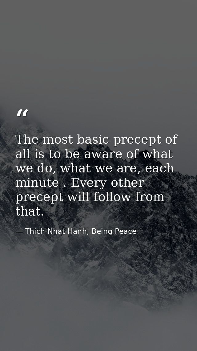 The most basic precept of all is to be aware of what we do, what we are, each minute . Every other precept will follow f — Thich Nhat Hanh, Being Peace