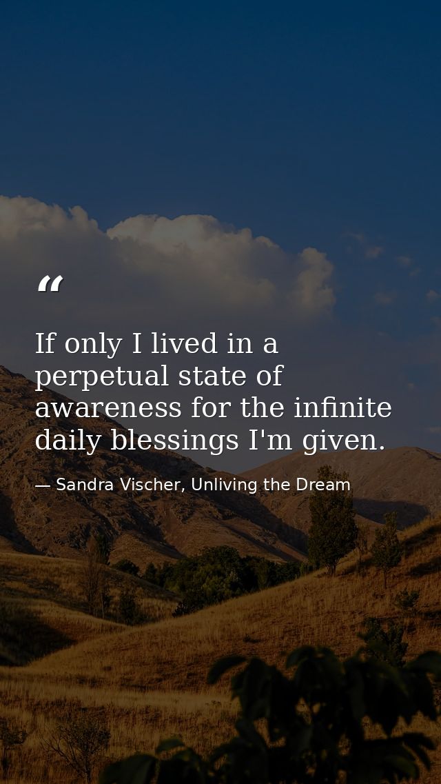If only I lived in a perpetual state of awareness for the infinite daily blessings I'm given. — Sandra Vischer, Unliving the Dream