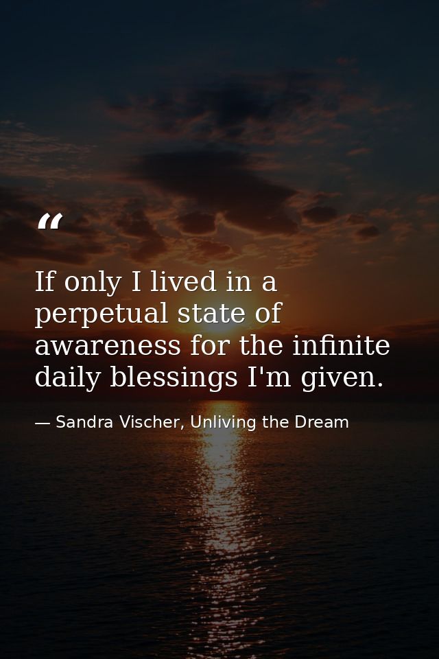 If only I lived in a perpetual state of awareness for the infinite daily blessings I'm given. — Sandra Vischer, Unliving the Dream