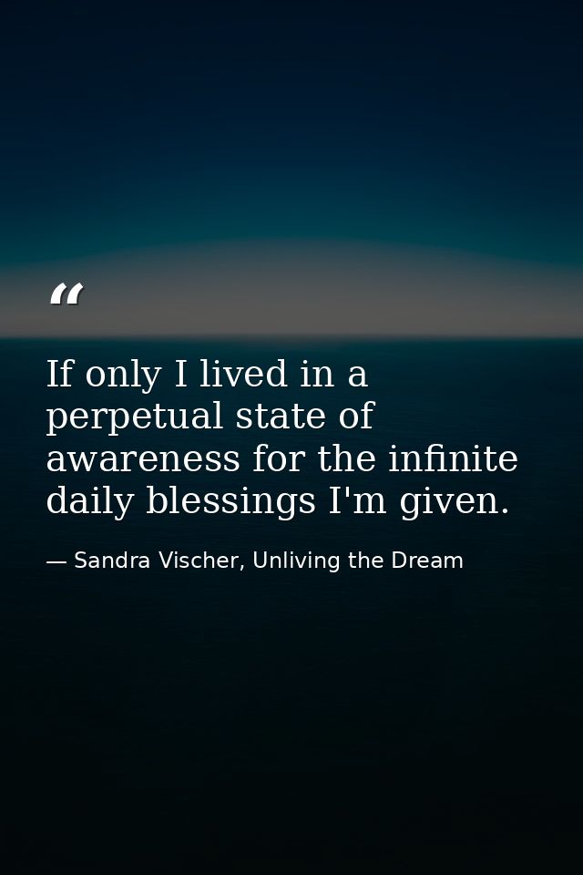 If only I lived in a perpetual state of awareness for the infinite daily blessings I'm given. — Sandra Vischer, Unliving the Dream