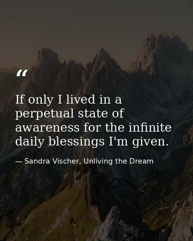 If only I lived in a perpetual state of awareness for the infinite daily blessings I'm given. — Sandra Vischer, Unliving the Dream