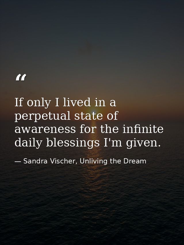 If only I lived in a perpetual state of awareness for the infinite daily blessings I'm given. — Sandra Vischer, Unliving the Dream