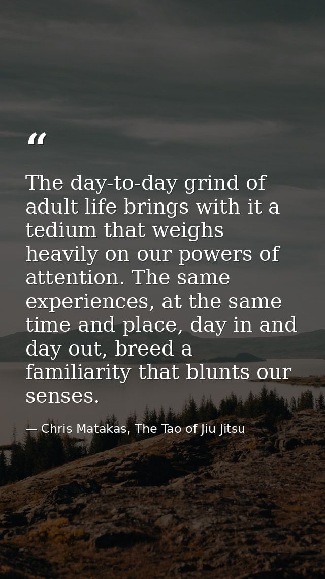 The day-to-day grind of adult life brings with it a tedium that weighs heavily on our powers of attention. The same expe — Chris Matakas, The Tao of Jiu Jitsu