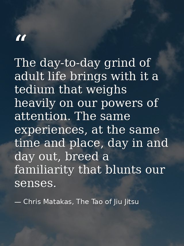 The day-to-day grind of adult life brings with it a tedium that weighs heavily on our powers of attention. The same expe — Chris Matakas, The Tao of Jiu Jitsu