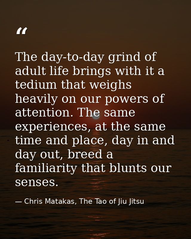 The day-to-day grind of adult life brings with it a tedium that weighs heavily on our powers of attention. The same expe — Chris Matakas, The Tao of Jiu Jitsu