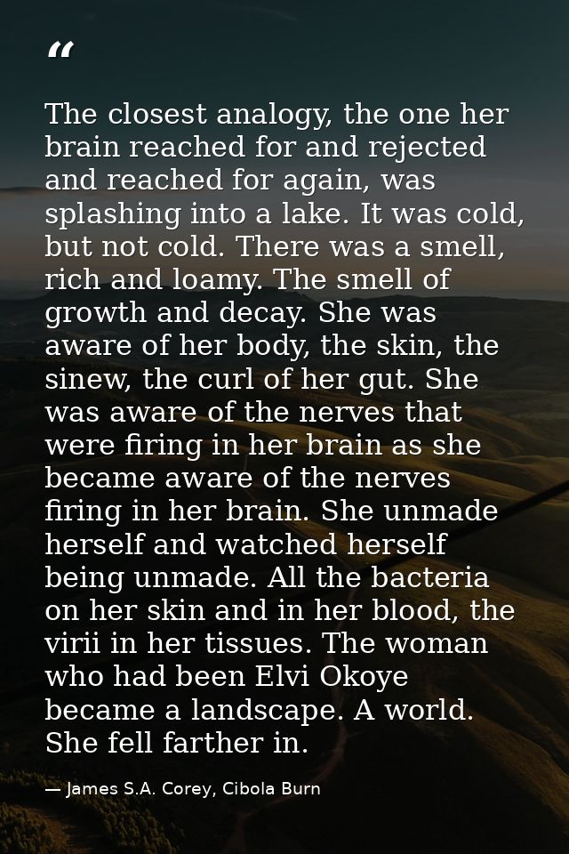 The closest analogy, the one her brain reached for and rejected and reached for again, was splashing into a lake. It was — James S.A. Corey, Cibola Burn