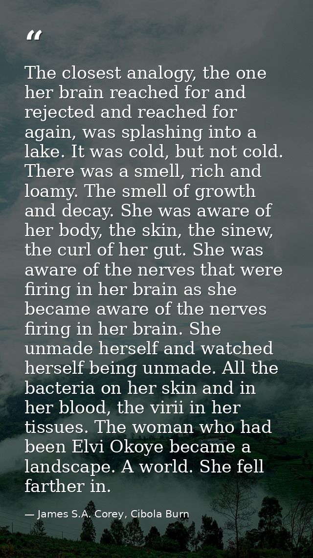 The closest analogy, the one her brain reached for and rejected and reached for again, was splashing into a lake. It was — James S.A. Corey, Cibola Burn