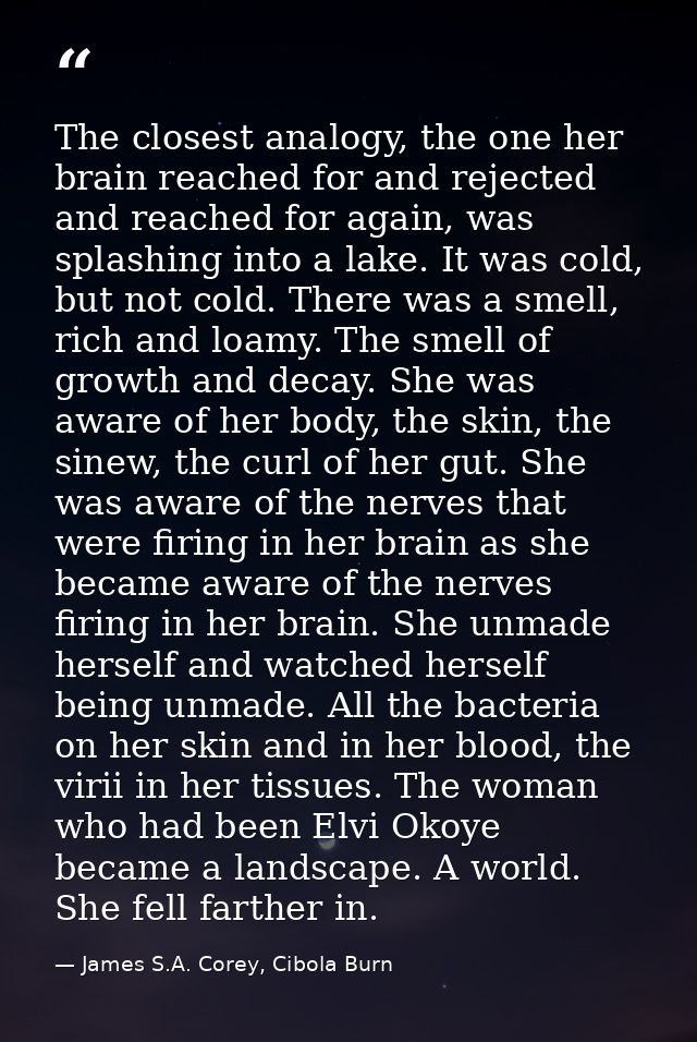 The closest analogy, the one her brain reached for and rejected and reached for again, was splashing into a lake. It was — James S.A. Corey, Cibola Burn