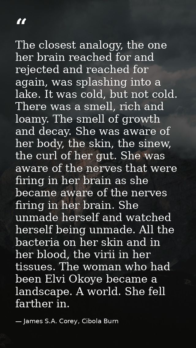 The closest analogy, the one her brain reached for and rejected and reached for again, was splashing into a lake. It was — James S.A. Corey, Cibola Burn