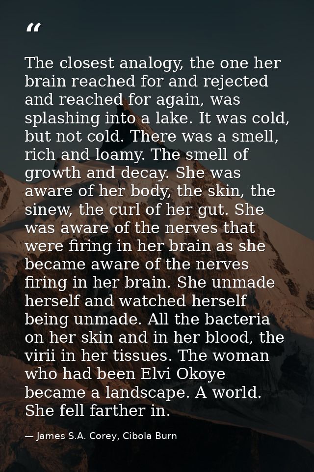The closest analogy, the one her brain reached for and rejected and reached for again, was splashing into a lake. It was — James S.A. Corey, Cibola Burn