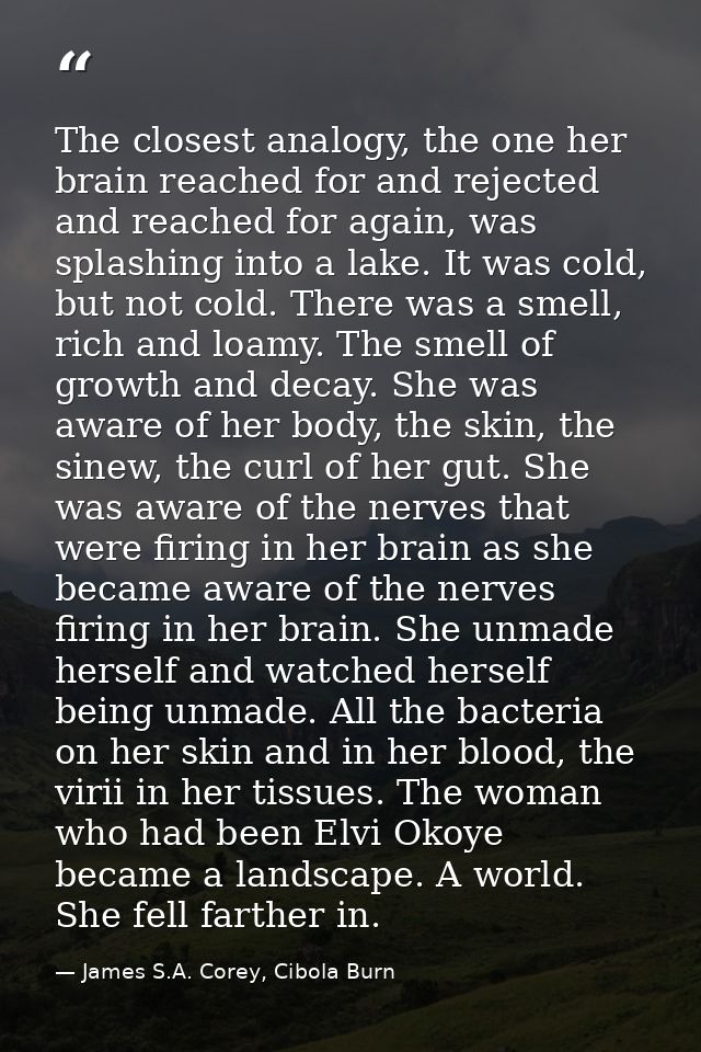 The closest analogy, the one her brain reached for and rejected and reached for again, was splashing into a lake. It was — James S.A. Corey, Cibola Burn