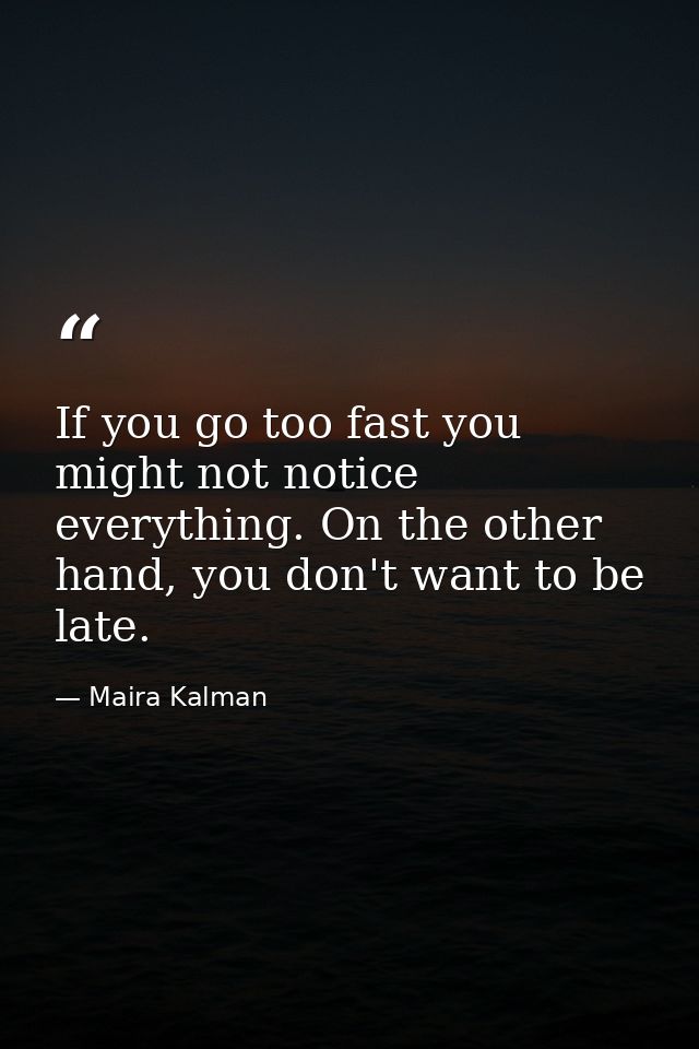 If you go too fast you might not notice everything. On the other hand, you don't want to be late. — Maira Kalman