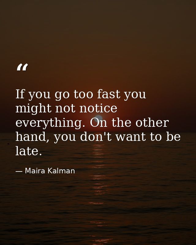 If you go too fast you might not notice everything. On the other hand, you don't want to be late. — Maira Kalman