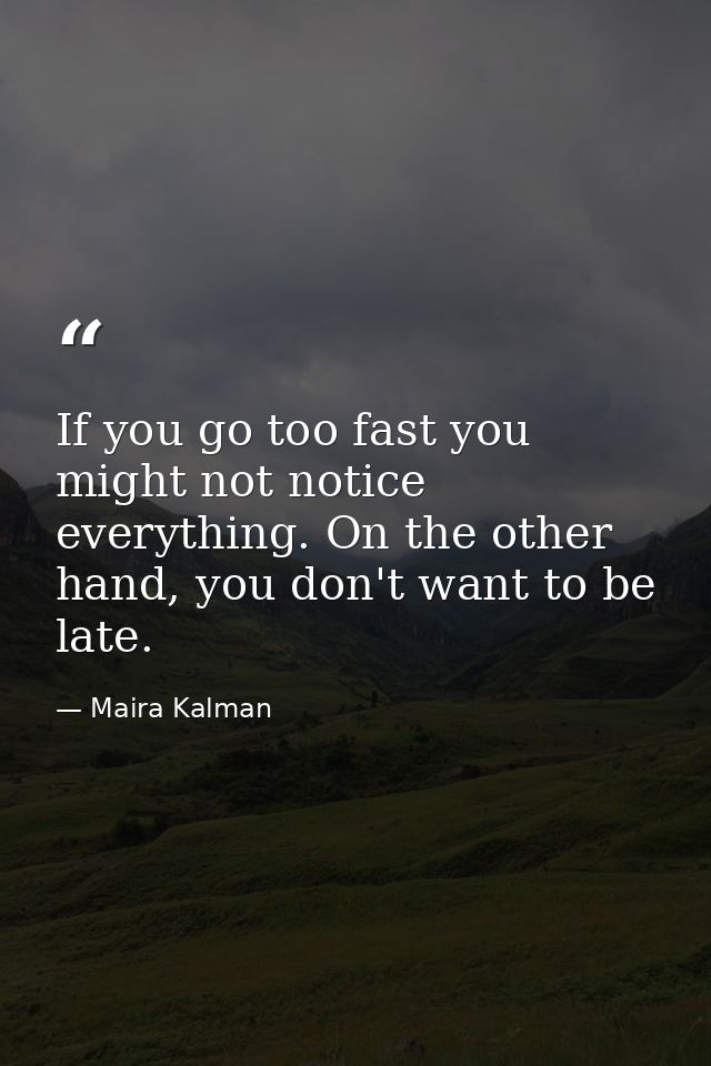 If you go too fast you might not notice everything. On the other hand, you don't want to be late. — Maira Kalman