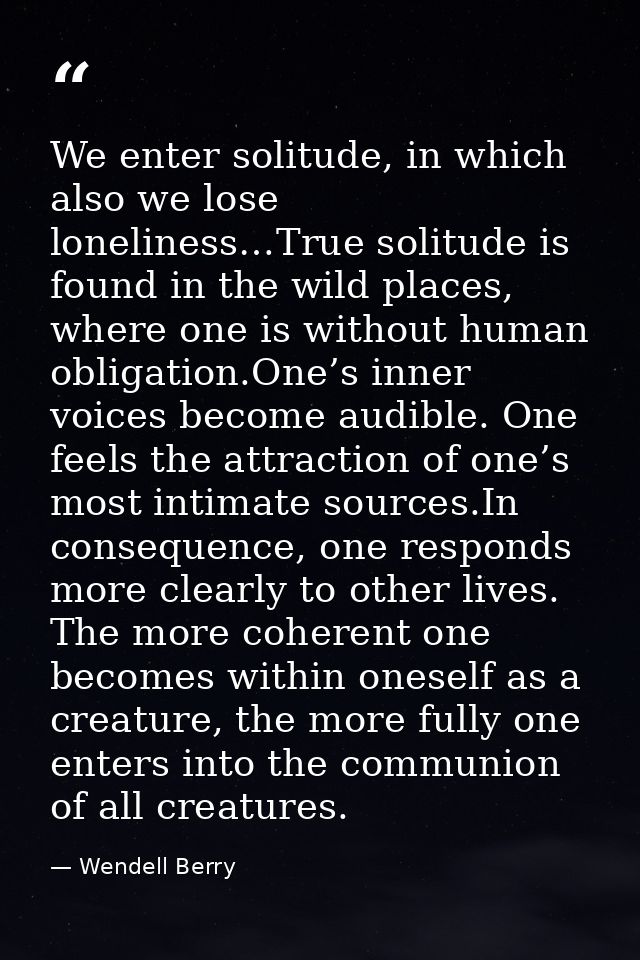 We enter solitude, in which also we lose loneliness…True solitude is found in the wild places, where one is without huma — Wendell Berry