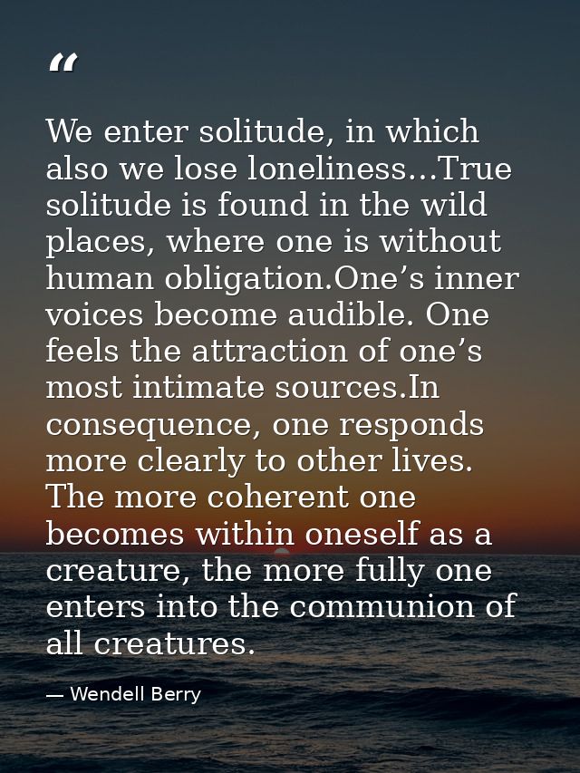 We enter solitude, in which also we lose loneliness…True solitude is found in the wild places, where one is without huma — Wendell Berry