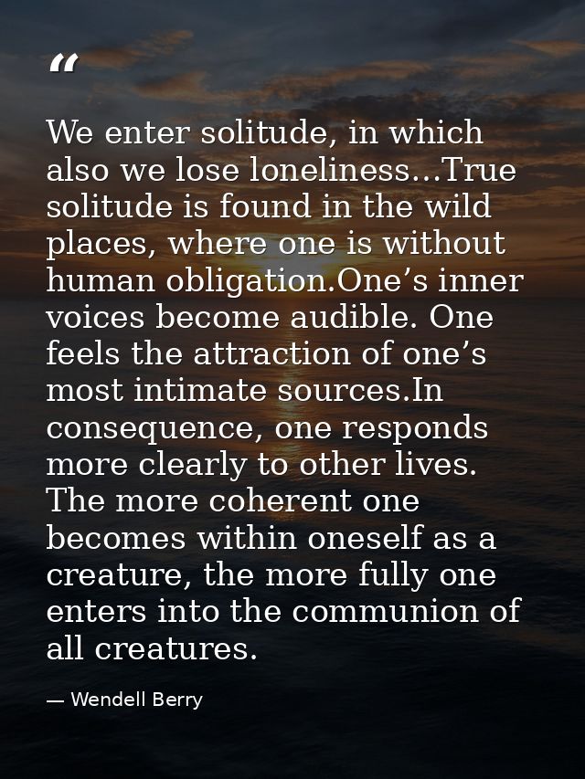 We enter solitude, in which also we lose loneliness…True solitude is found in the wild places, where one is without huma — Wendell Berry