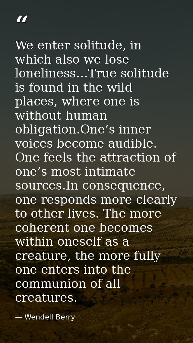 We enter solitude, in which also we lose loneliness…True solitude is found in the wild places, where one is without huma — Wendell Berry