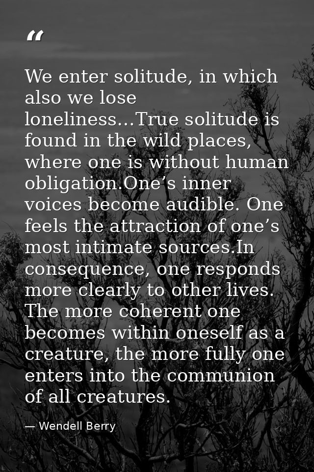 We enter solitude, in which also we lose loneliness…True solitude is found in the wild places, where one is without huma — Wendell Berry