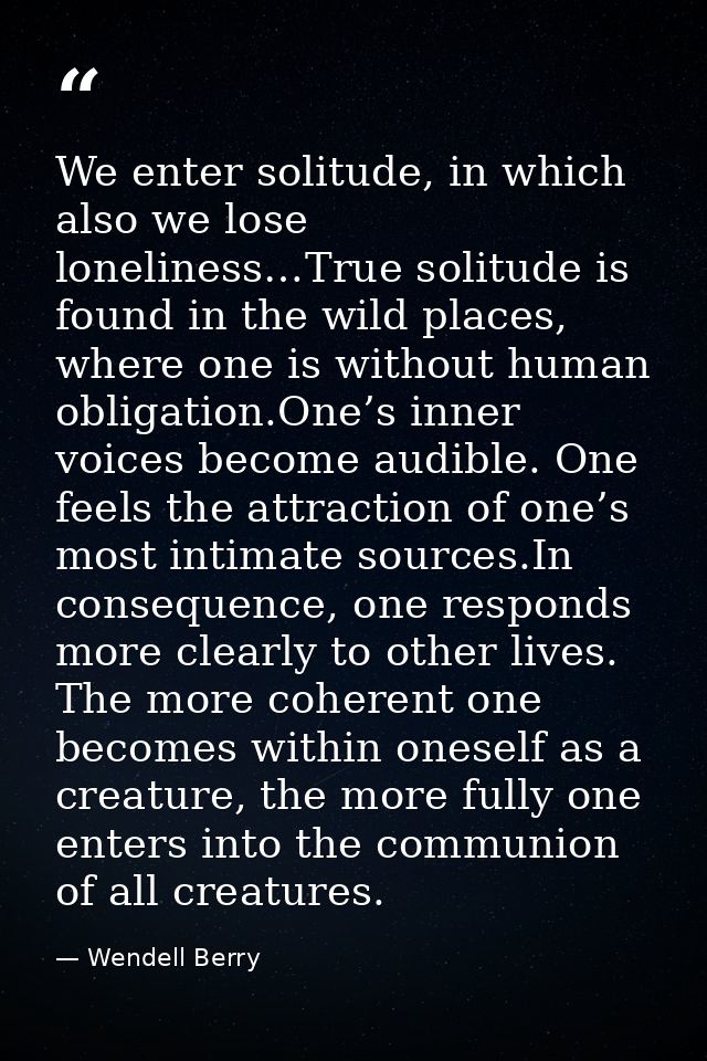 We enter solitude, in which also we lose loneliness…True solitude is found in the wild places, where one is without huma — Wendell Berry