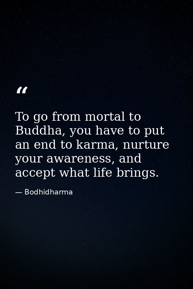 To go from mortal to Buddha, you have to put an end to karma, nurture your awareness, and accept what life brings. — Bodhidharma