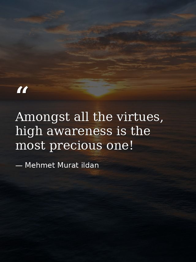 Amongst all the virtues, high awareness is the most precious one! — Mehmet Murat ildan