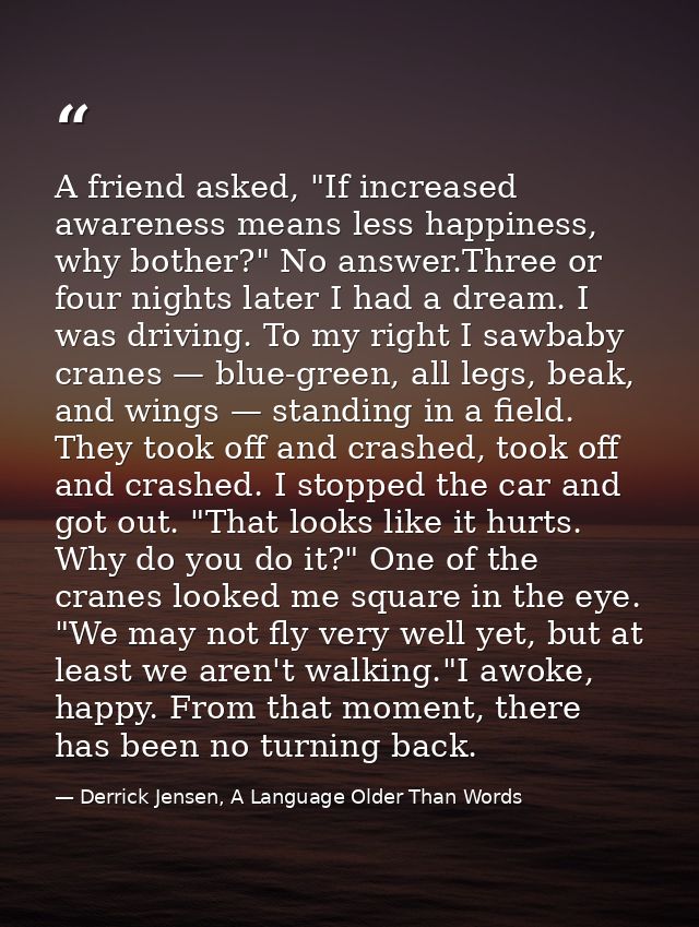 A friend asked, "If increased awareness means less happiness, why bother?" No answer.Three or four nights later I had a  — Derrick Jensen, A Language Older Than Words