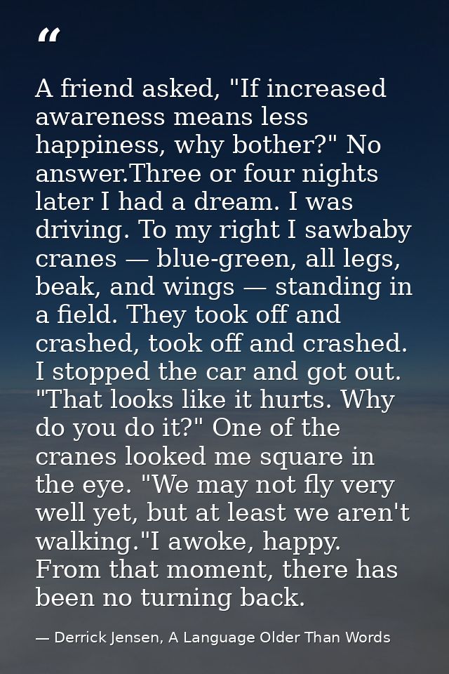 A friend asked, "If increased awareness means less happiness, why bother?" No answer.Three or four nights later I had a  — Derrick Jensen, A Language Older Than Words