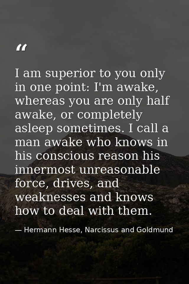I am superior to you only in one point: I'm awake, whereas you are only half awake, or completely asleep sometimes. I ca — Hermann Hesse, Narcissus and Goldmund