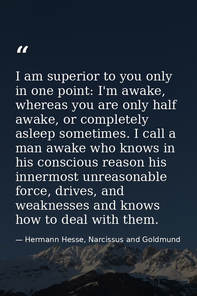 I am superior to you only in one point: I'm awake, whereas you are only half awake, or completely asleep sometimes. I ca — Hermann Hesse, Narcissus and Goldmund