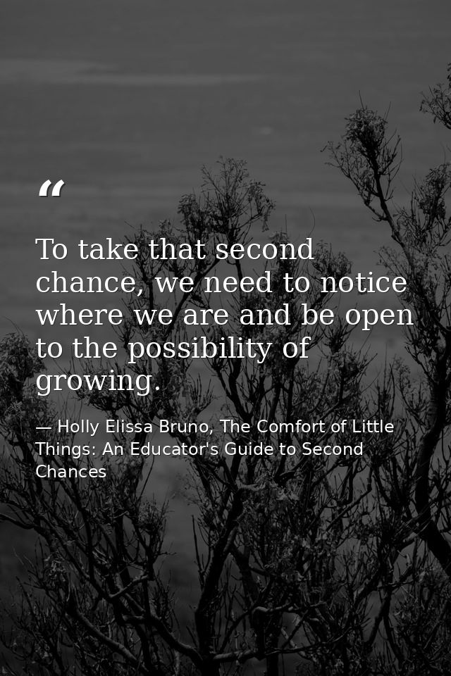 To take that second chance, we need to notice where we are and be open to the possibility of growing. — Holly Elissa Bruno, The Comfort of Little Things: An Educator's Guide to Second Chances