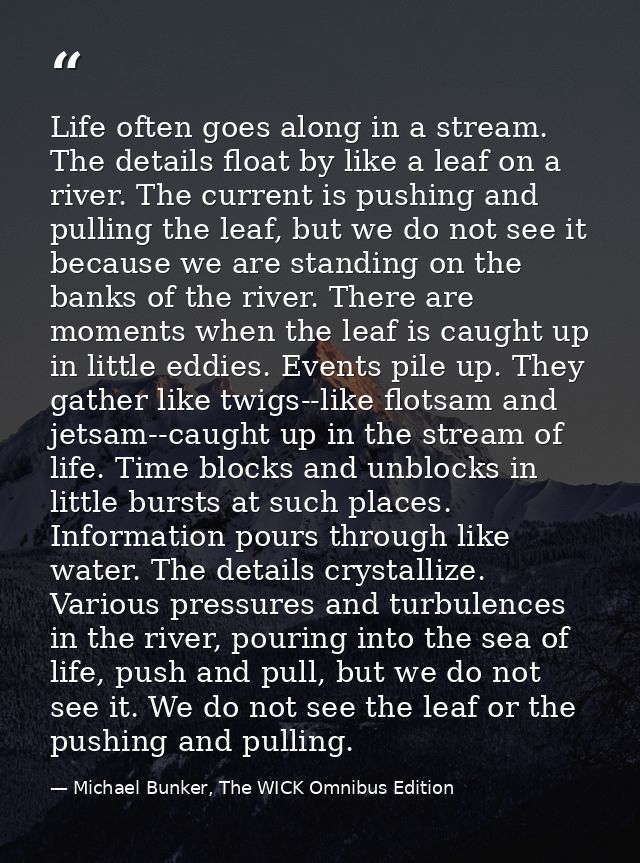 Life often goes along in a stream. The details float by like a leaf on a river. The current is pushing and pulling the l — Michael Bunker, The WICK Omnibus Edition