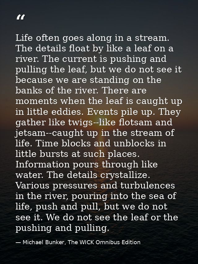 Life often goes along in a stream. The details float by like a leaf on a river. The current is pushing and pulling the l — Michael Bunker, The WICK Omnibus Edition