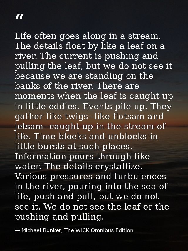 Life often goes along in a stream. The details float by like a leaf on a river. The current is pushing and pulling the l — Michael Bunker, The WICK Omnibus Edition