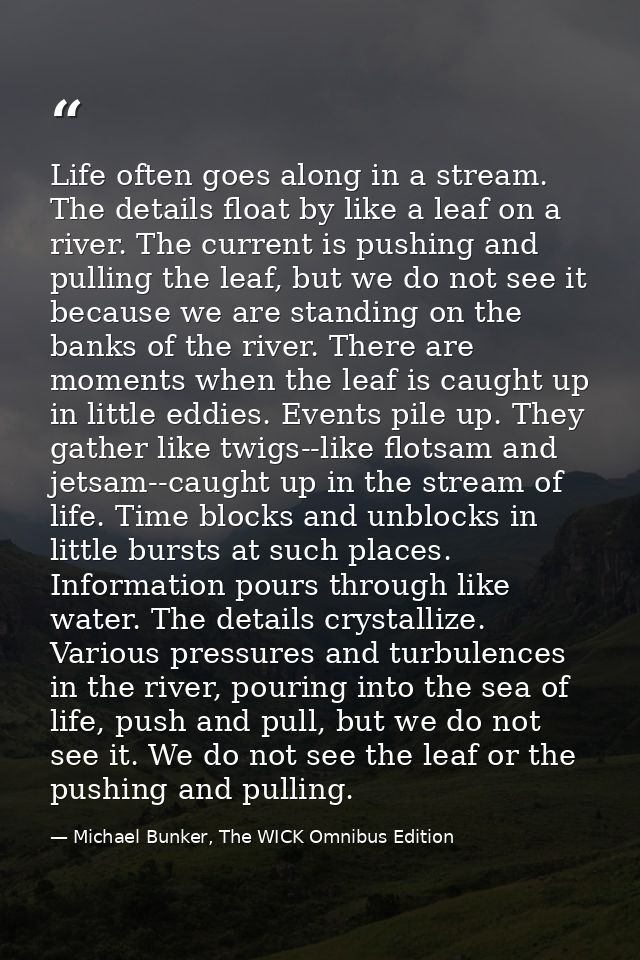 Life often goes along in a stream. The details float by like a leaf on a river. The current is pushing and pulling the l — Michael Bunker, The WICK Omnibus Edition