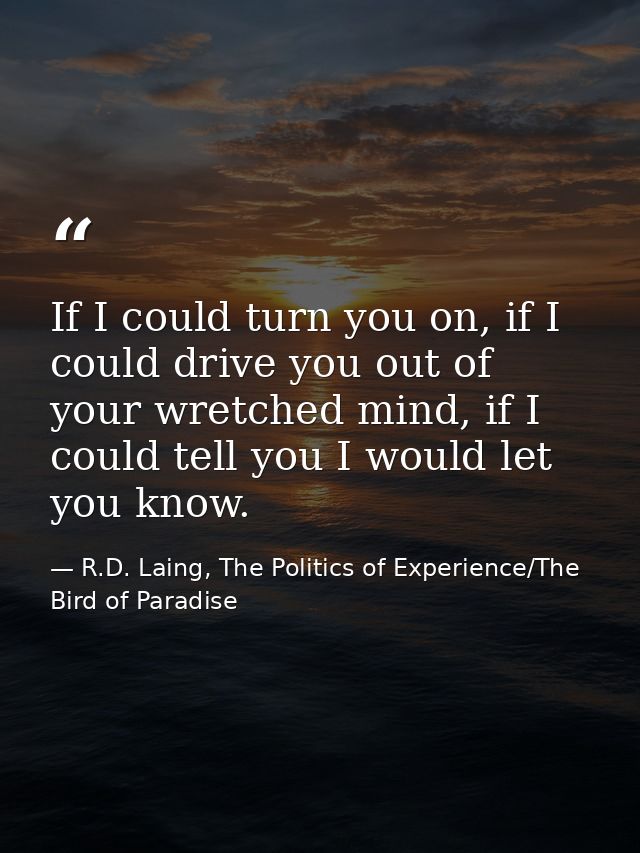 If I could turn you on, if I could drive you out of your wretched mind, if I could tell you I would let you know. — R.D. Laing, The Politics of Experience/The Bird of Paradise