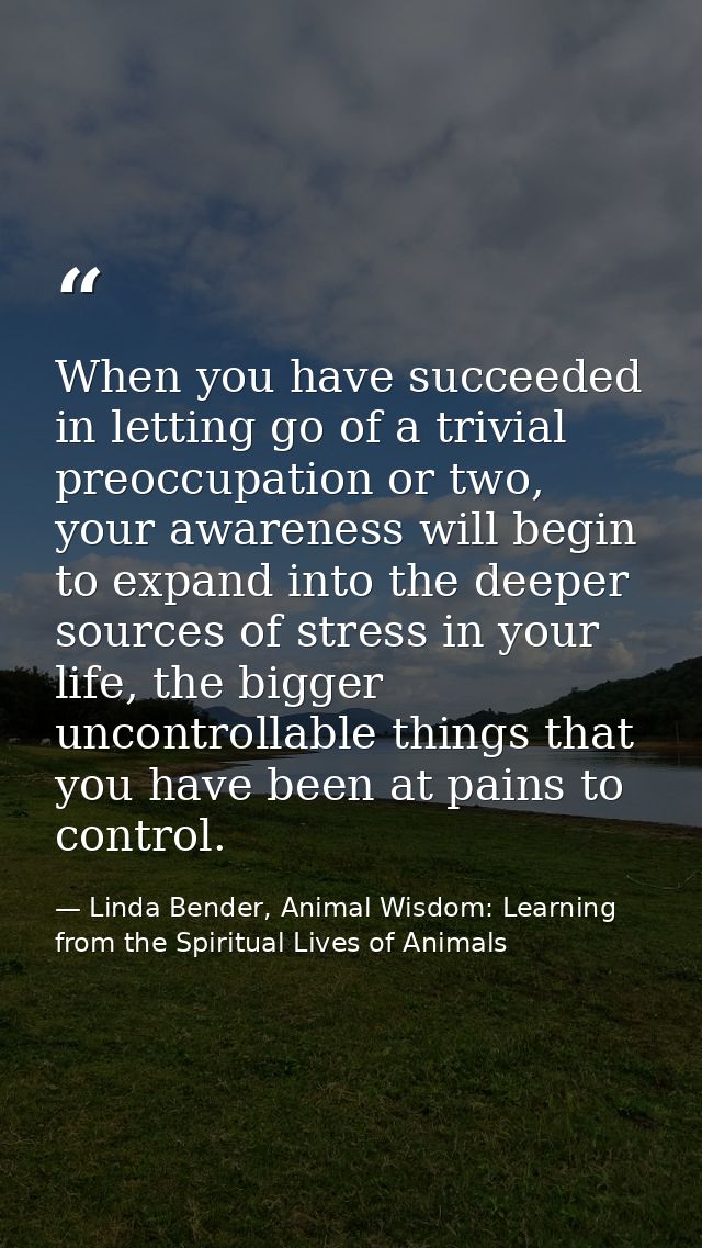 When you have succeeded in letting go of a trivial preoccupation or two, your awareness will begin to expand into the de — Linda Bender, Animal Wisdom: Learning from the Spiritual Lives of Animals