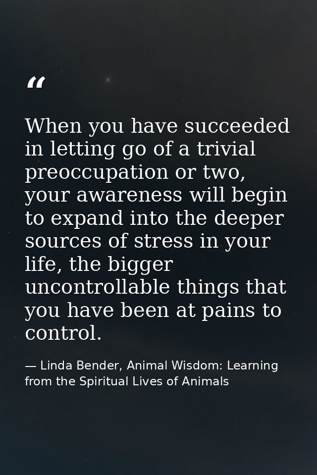 When you have succeeded in letting go of a trivial preoccupation or two, your awareness will begin to expand into the de — Linda Bender, Animal Wisdom: Learning from the Spiritual Lives of Animals