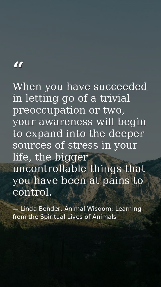 When you have succeeded in letting go of a trivial preoccupation or two, your awareness will begin to expand into the de — Linda Bender, Animal Wisdom: Learning from the Spiritual Lives of Animals