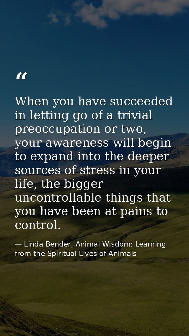 When you have succeeded in letting go of a trivial preoccupation or two, your awareness will begin to expand into the de — Linda Bender, Animal Wisdom: Learning from the Spiritual Lives of Animals