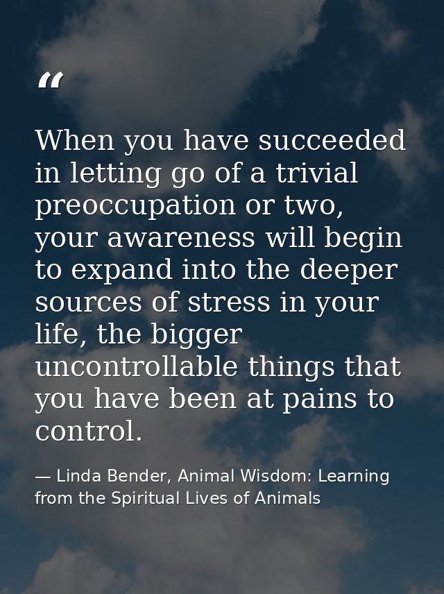 When you have succeeded in letting go of a trivial preoccupation or two, your awareness will begin to expand into the de — Linda Bender, Animal Wisdom: Learning from the Spiritual Lives of Animals