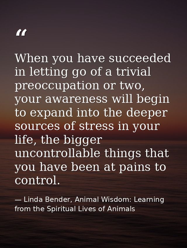 When you have succeeded in letting go of a trivial preoccupation or two, your awareness will begin to expand into the de — Linda Bender, Animal Wisdom: Learning from the Spiritual Lives of Animals
