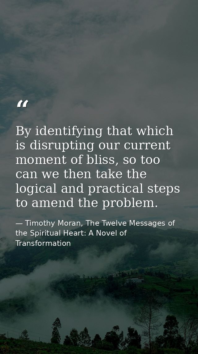 By identifying that which is disrupting our current moment of bliss, so too can we then take the logical and practical s — Timothy Moran, The Twelve Messages of the Spiritual Heart: A Novel of Transformation