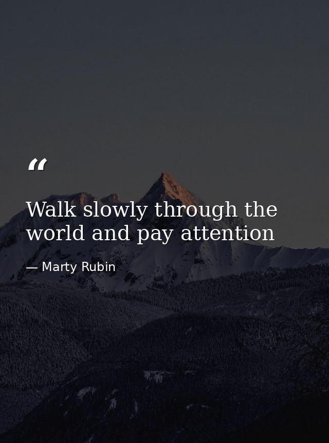 Walk slowly through the world and pay attention — Marty Rubin