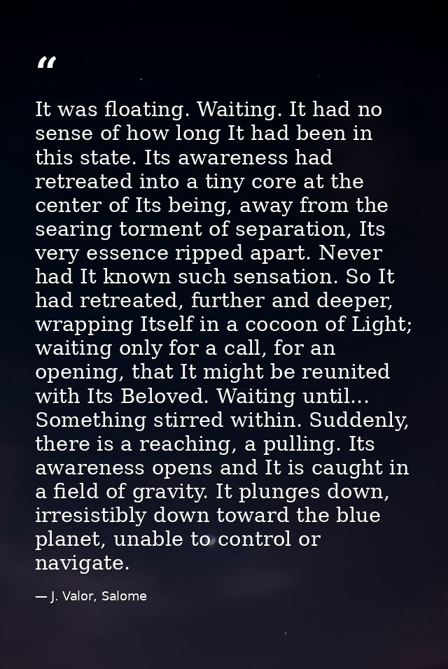 It was floating. Waiting. It had no sense of how long It had been in this state. Its awareness had retreated into a tiny — J. Valor, Salome