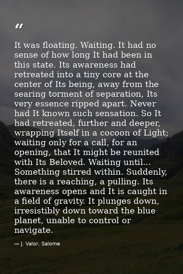 It was floating. Waiting. It had no sense of how long It had been in this state. Its awareness had retreated into a tiny — J. Valor, Salome