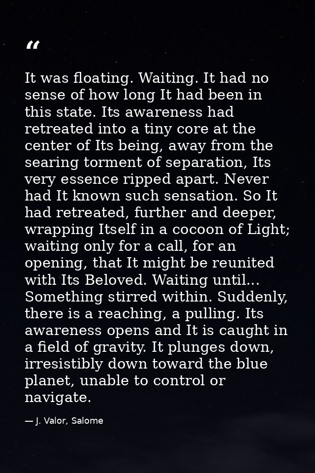 It was floating. Waiting. It had no sense of how long It had been in this state. Its awareness had retreated into a tiny — J. Valor, Salome