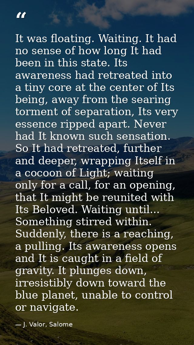 It was floating. Waiting. It had no sense of how long It had been in this state. Its awareness had retreated into a tiny — J. Valor, Salome