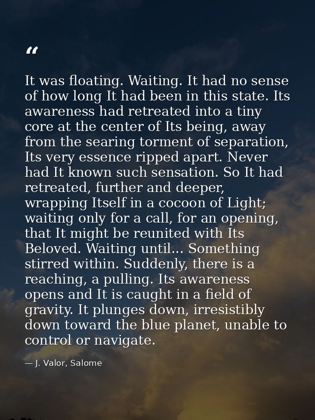 It was floating. Waiting. It had no sense of how long It had been in this state. Its awareness had retreated into a tiny — J. Valor, Salome